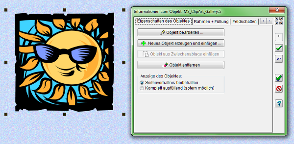 Heyer's CD+DVD-Hüllen - Objektfeld