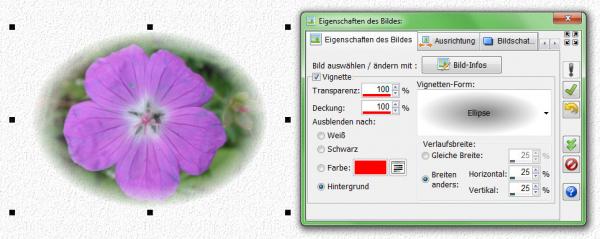 Heyer's Visitenkarten - Bildfeld