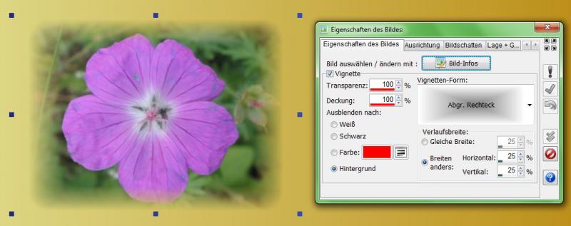 Heyer's Karten-Studio - Bildfeld